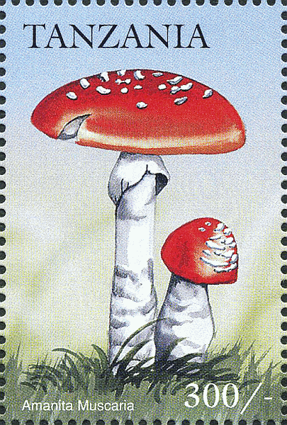 Briefmarke