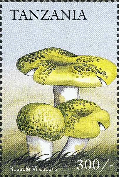 Briefmarke