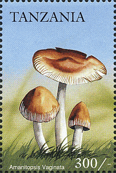 Briefmarke