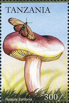 Briefmarke