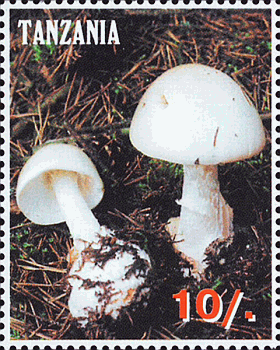 Briefmarke