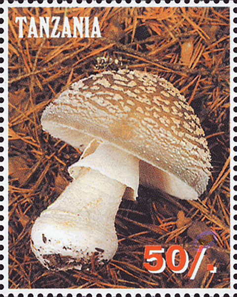 Briefmarke