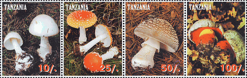 Zusammendruck