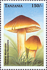 Briefmarke