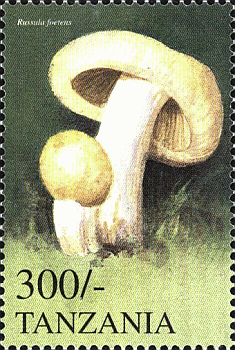 Briefmarke