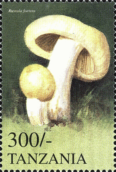 Briefmarke