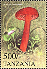 Briefmarke