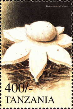 Briefmarke