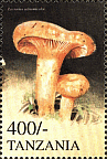 Briefmarke