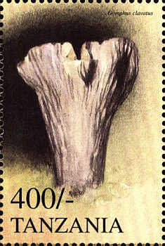 Briefmarke