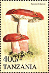 Briefmarke