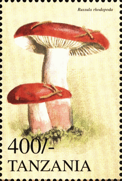 Briefmarke