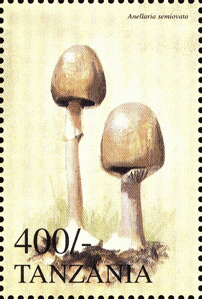 Briefmarke
