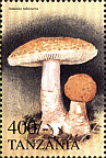 Briefmarke