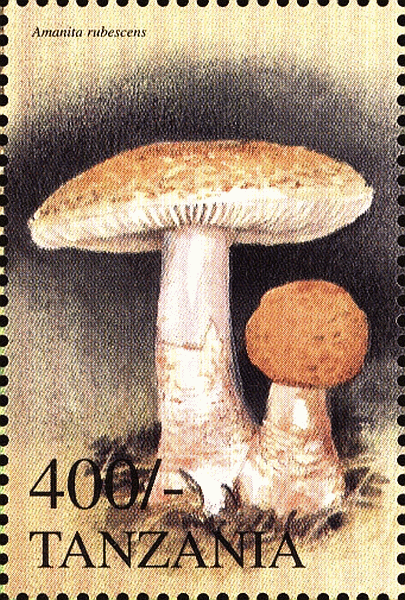 Briefmarke
