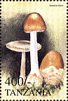 Briefmarke