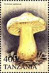 Briefmarke