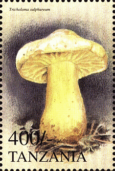 Briefmarke
