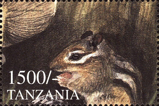 Briefmarke
