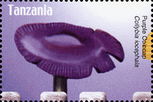 Briefmarke
