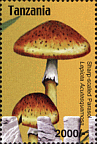 Briefmarke