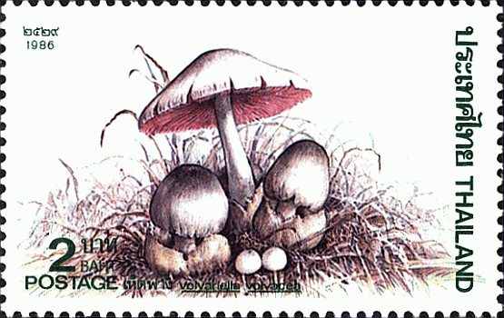 Briefmarke