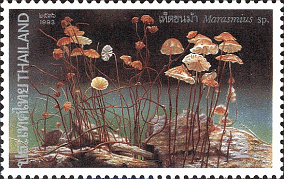 Briefmarke