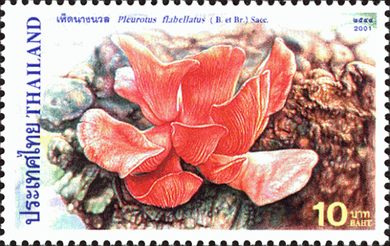 Briefmarke