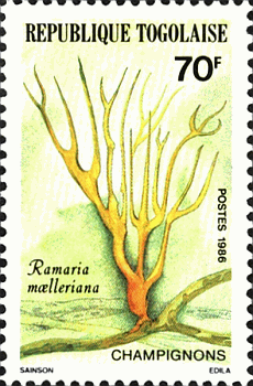 Briefmarke