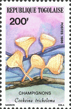 Briefmarke