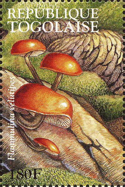 Briefmarke