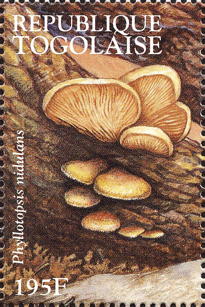 Briefmarke