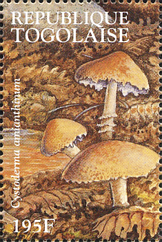 Briefmarke
