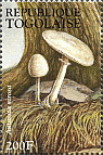 Briefmarke