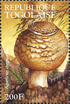 Briefmarke