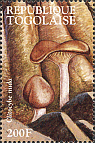 Briefmarke