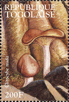 Briefmarke