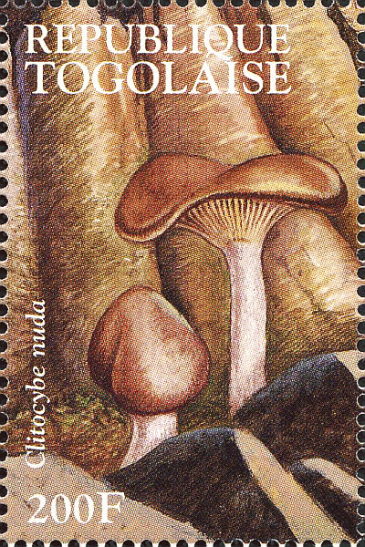 Briefmarke