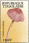 Briefmarke