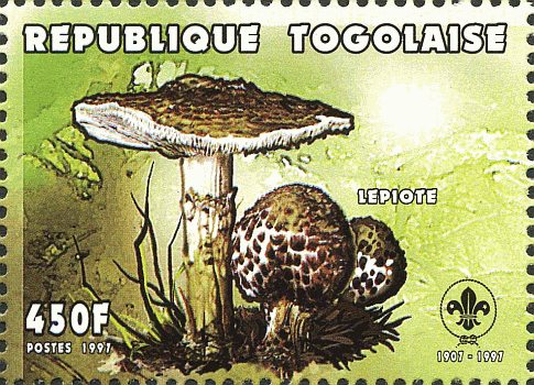 Briefmarke