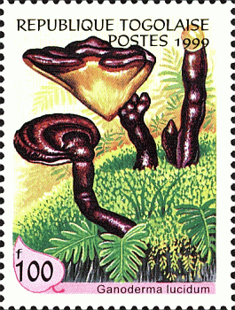 Briefmarke