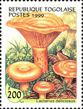 Briefmarke