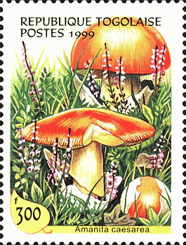 Briefmarke