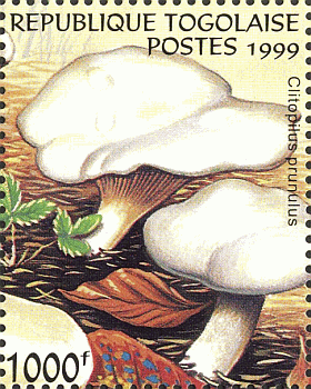 Briefmarke