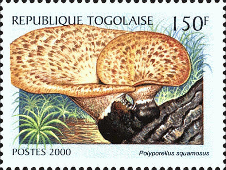 Briefmarke