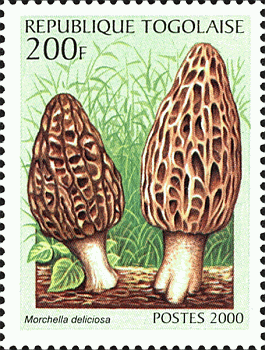 Briefmarke