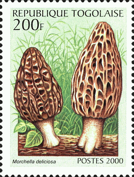 Briefmarke