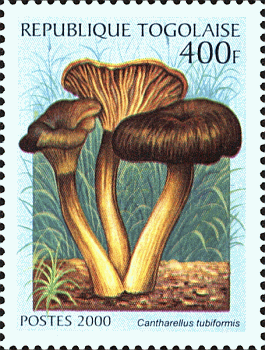 Briefmarke