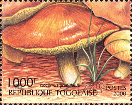 Briefmarke