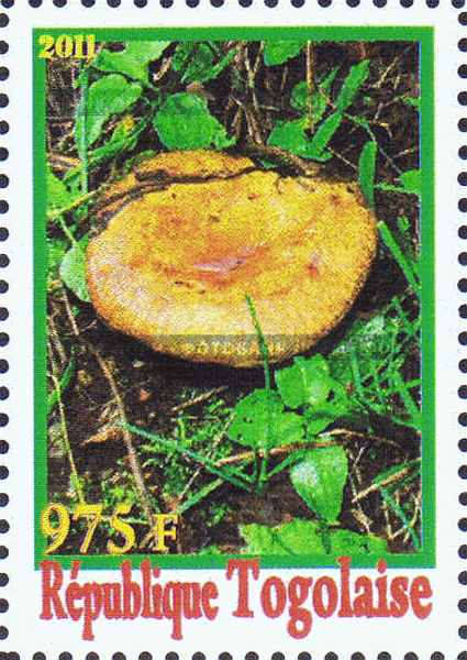Briefmarke